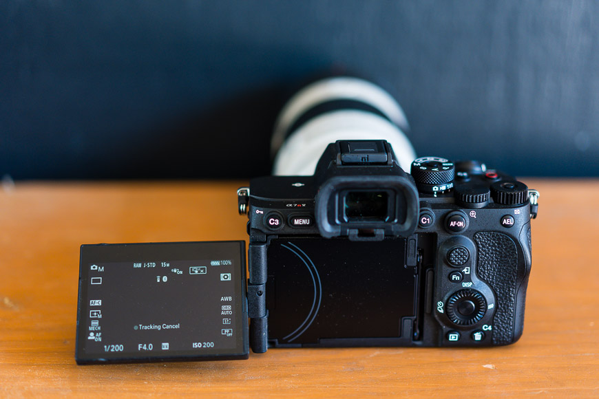 Sony a7R V Review: Power and Performance Sony a7R V Review: Power and Performance