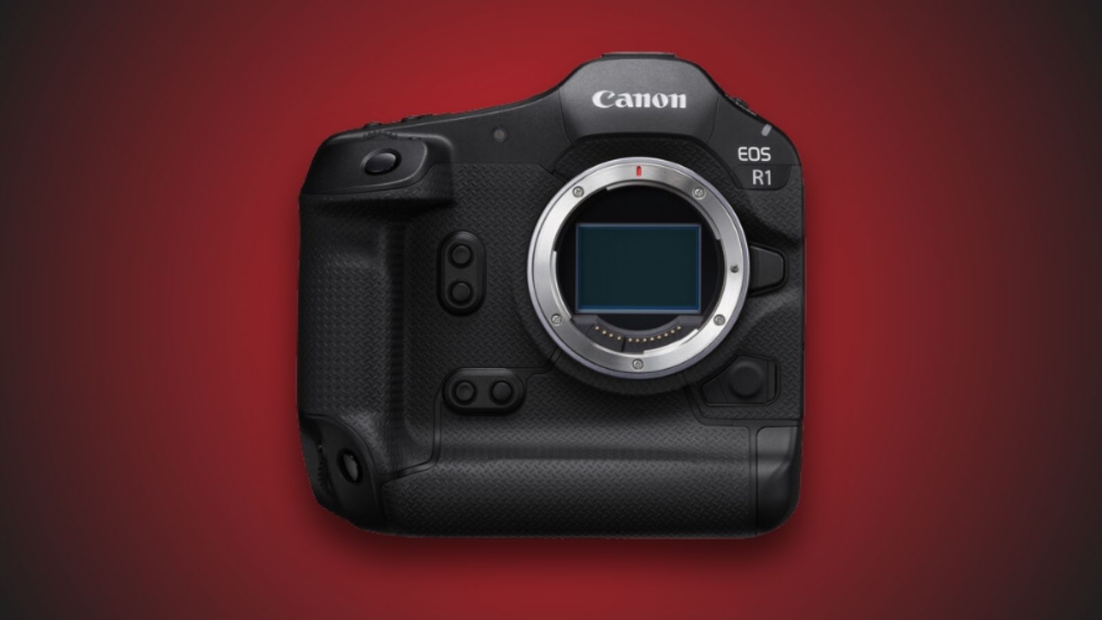 5 Best Lenses for Canon EOS R1- Canon Rumors 5 Best Lenses for Canon EOS R1- Canon Rumors