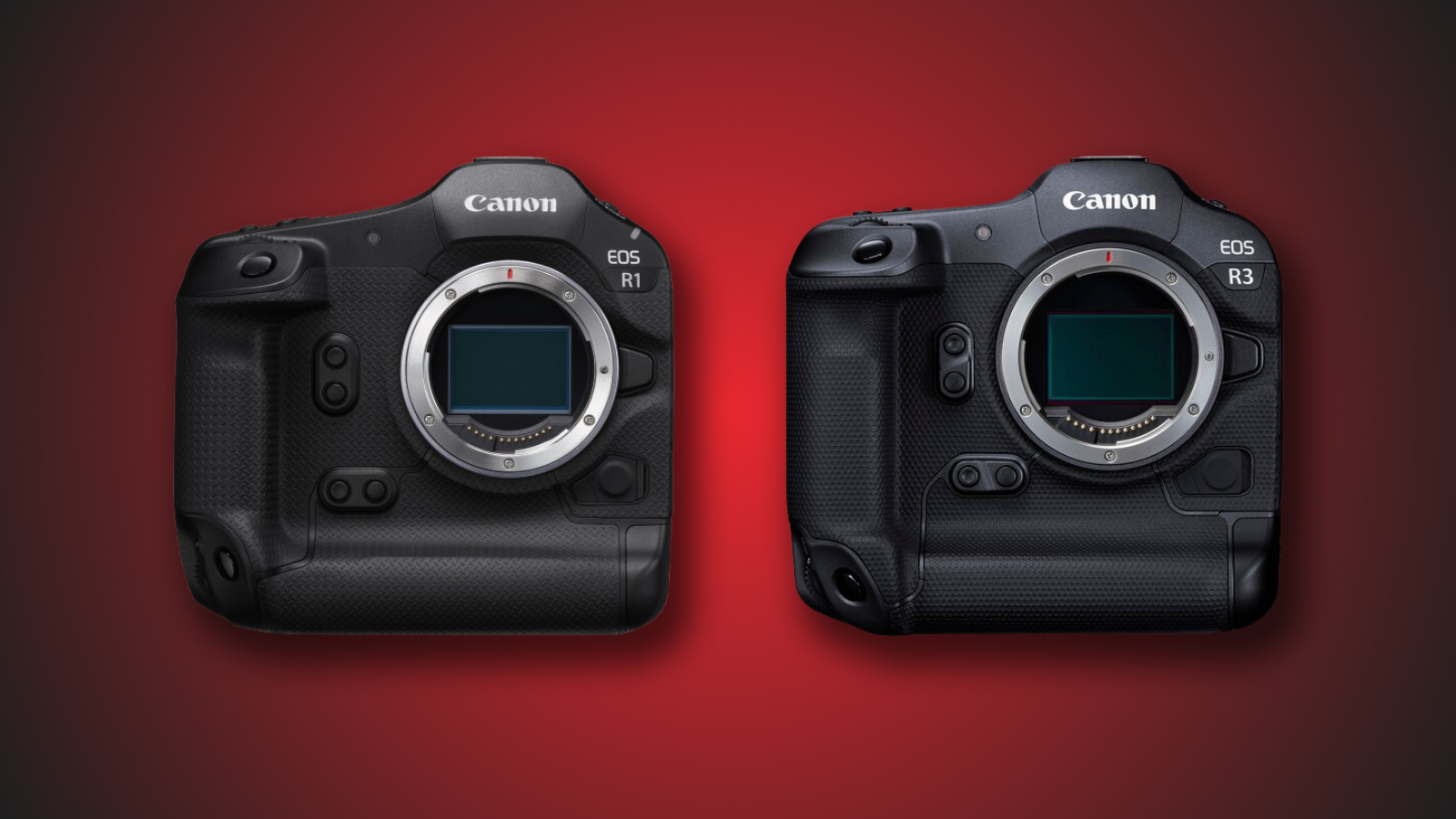 Canon EOS R1 vs R3: Clash of the Mirrorless Titans Canon EOS R1 vs R3: Clash of the Mirrorless Titans