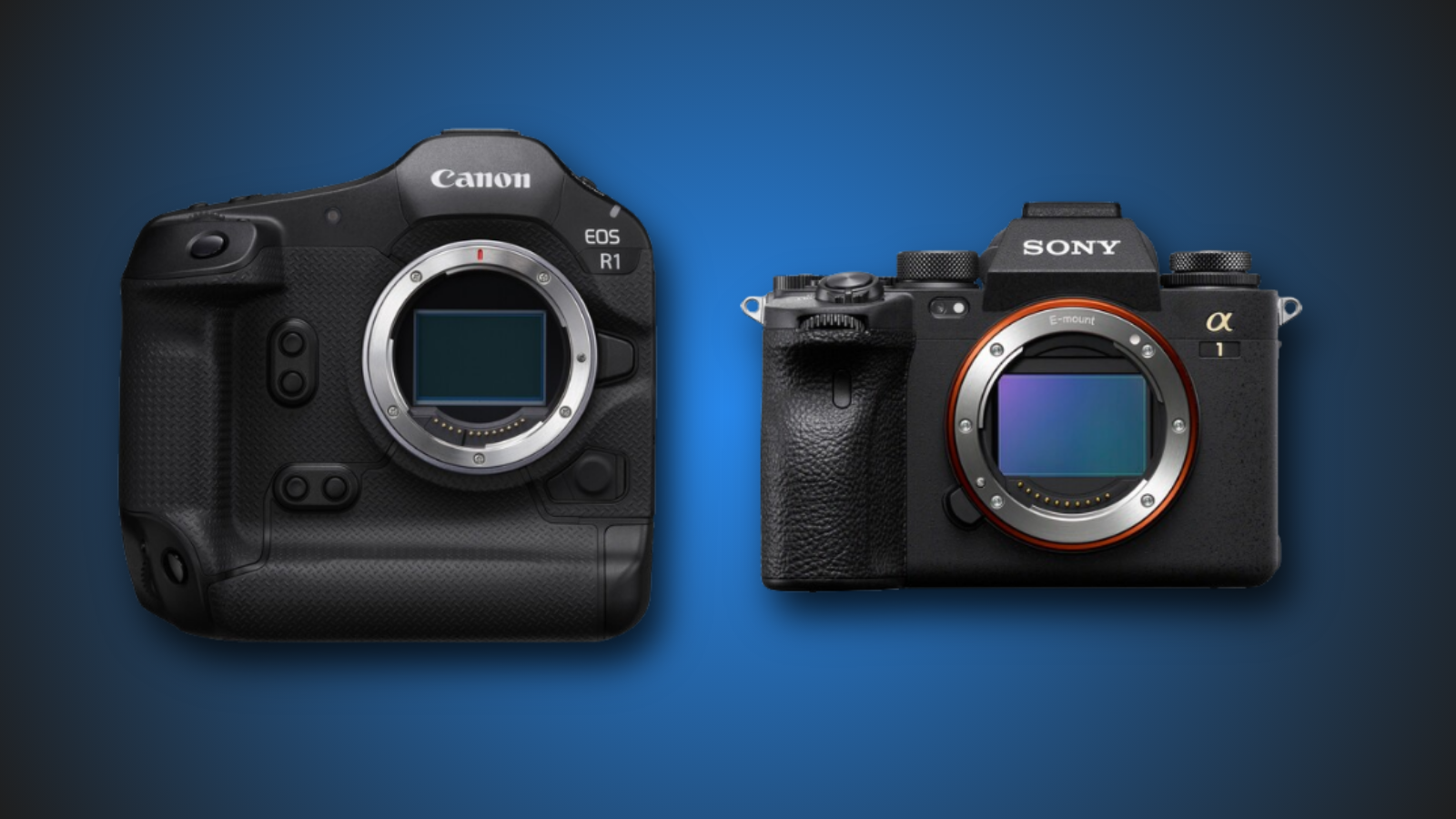 Battle of the Beasts: Canon EOS R1 vs Sony A1 – Mirrorless Mayhem! Battle of the Beasts: Canon EOS R1 vs Sony A1 – Mirrorless Mayhem!