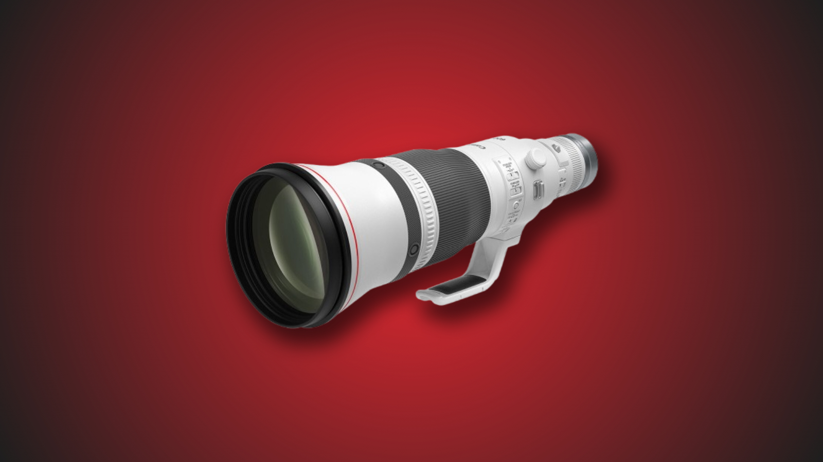 Sharp, Fast, Stunning: Canon’s Best Prime Lenses Sharp, Fast, Stunning: Canon’s Best Prime Lenses