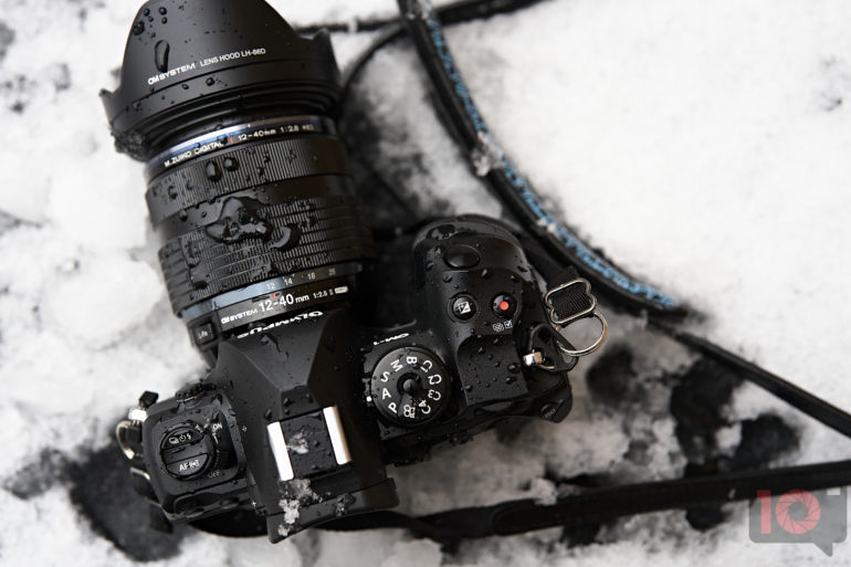 3 OM System Cameras That Excel in Bird Photography 3 OM System Cameras That Excel in Bird Photography