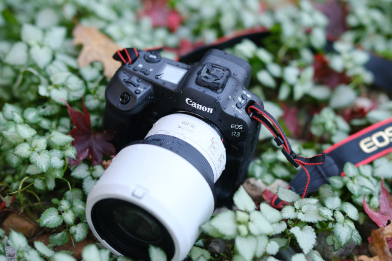 The Canon R3 Just Lost So Much Value The Canon R3 Just Lost So Much Value