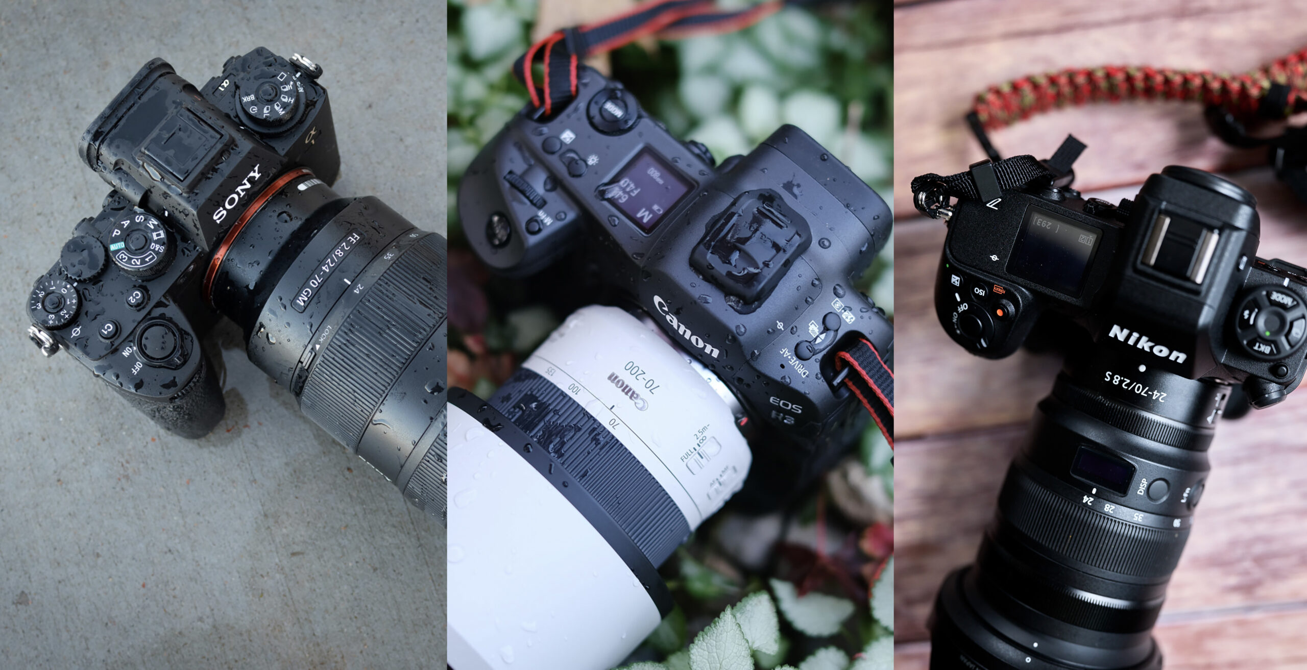 The Best Camera Brand of 2025 Revealed The Best Camera Brand of 2025 Revealed
