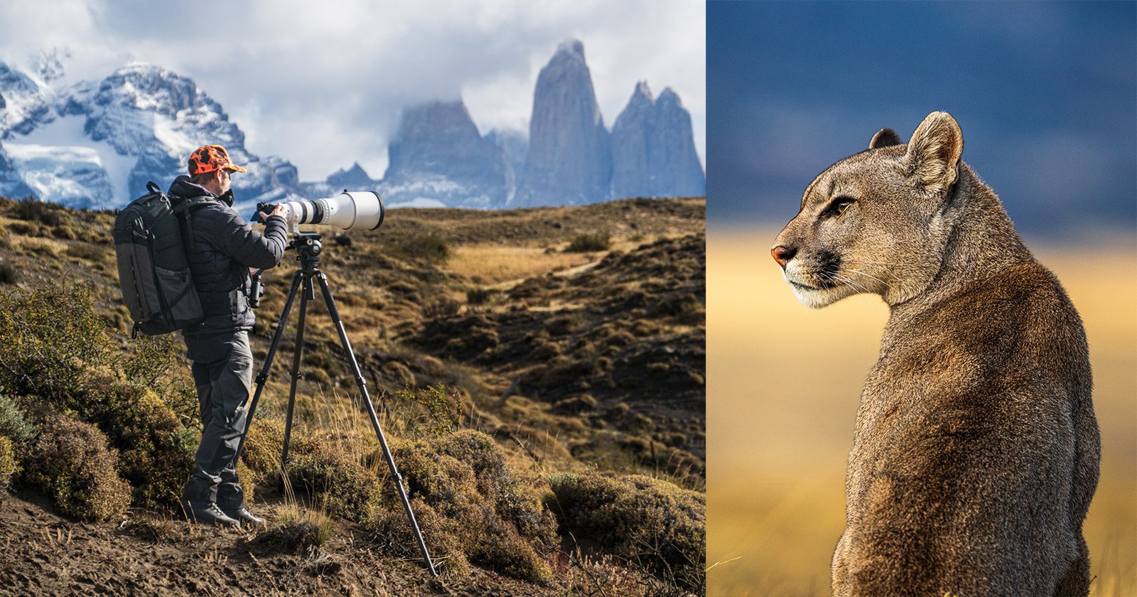 The Ultimate SIGMA Lens Buying Guide The Ultimate SIGMA Lens Buying Guide