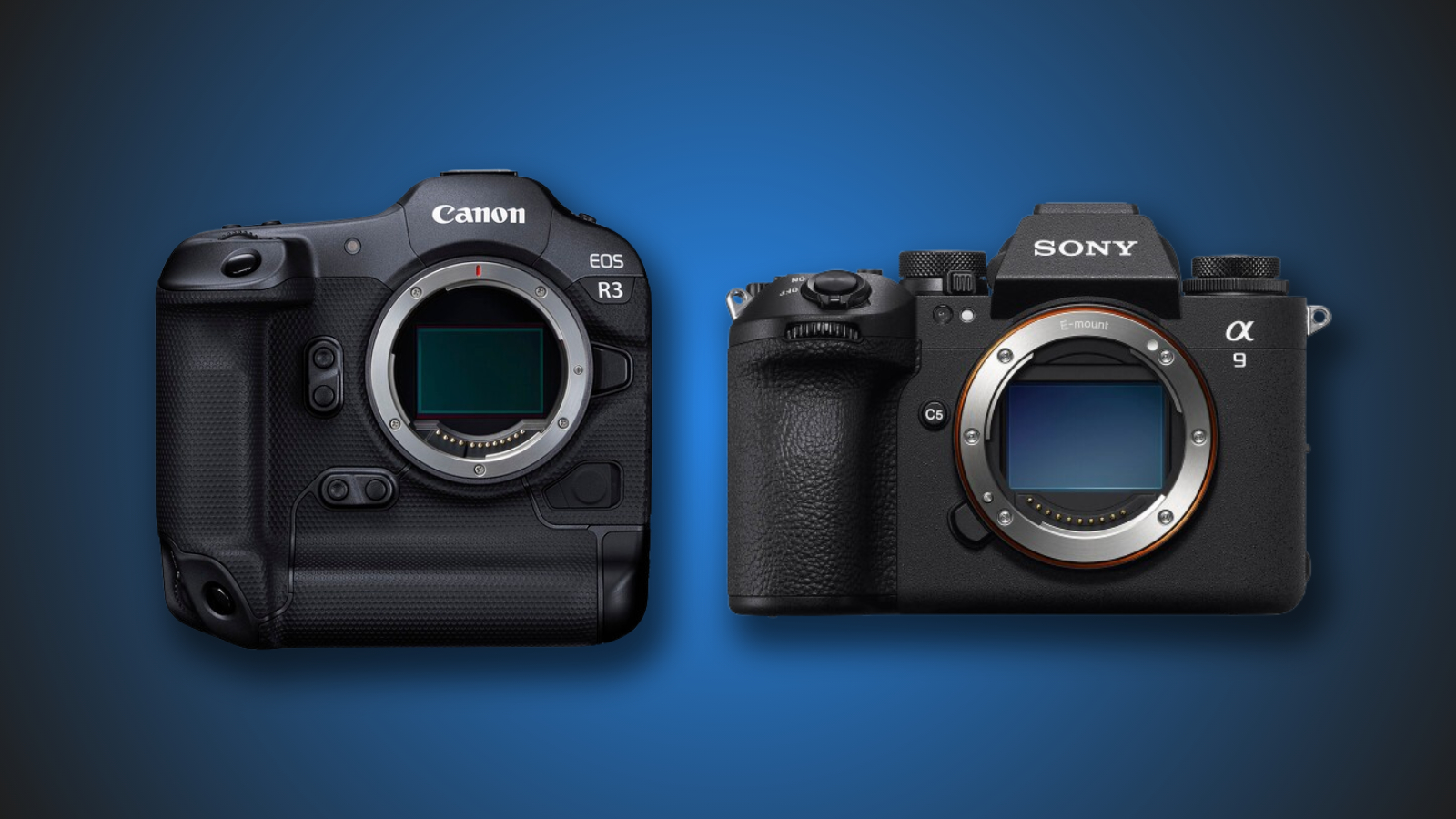 Canon R3 vs Sony A9 III: Autofocus Avengers Assemble! Canon R3 vs Sony A9 III: Autofocus Avengers Assemble!