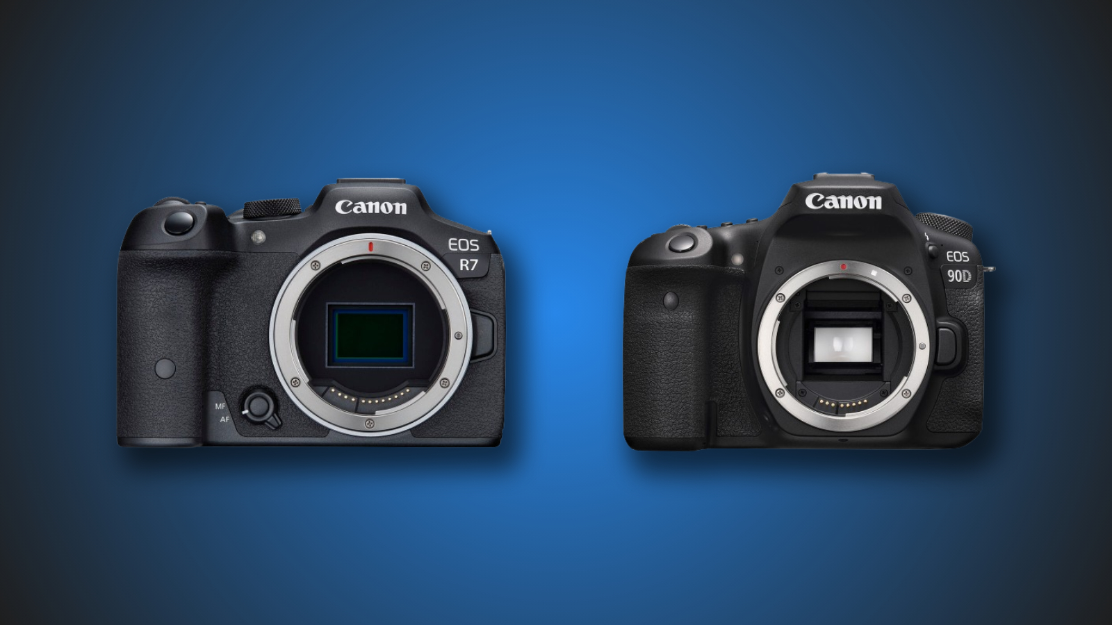 Canon R7 vs. 90D: Mirrorless vs. DSLR Showdown Canon R7 vs. 90D: Mirrorless vs. DSLR Showdown