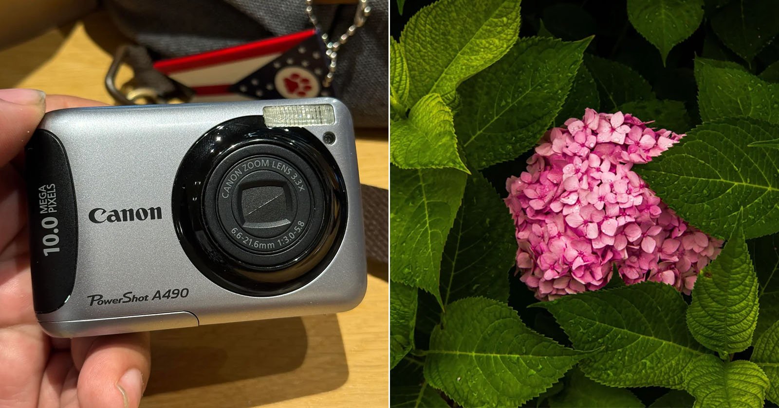 Photographer’s Hacked Vintage Digital Point-and-Shoot Camera Is Surprisingly Awesome Photographer’s Hacked Vintage Digital Point-and-Shoot Camera Is Surprisingly Awesome