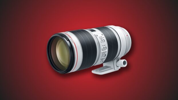 Glass Class: Best Lenses for Canon 6D Mark II