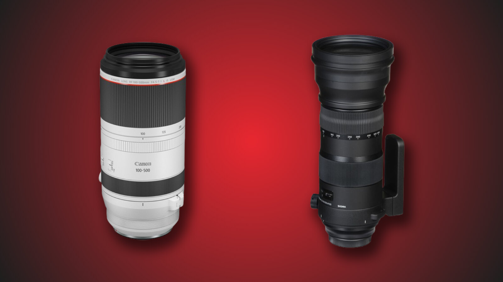 Tele-Tussle: Canon RF 100-500mm f/4.5-7.1 L IS USM vs Sigma 150-600mm F/5-6.3 DG OS HSM Sports