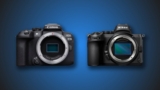 Sensor Showdown: Canon EOS R10 vs Nikon Z5