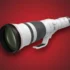 Sigma 300-600mm f/4 DG OS Sports Review: Way More for Way Less