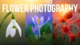 Try These 10 Essential Tips for Photographing Spring Flowers